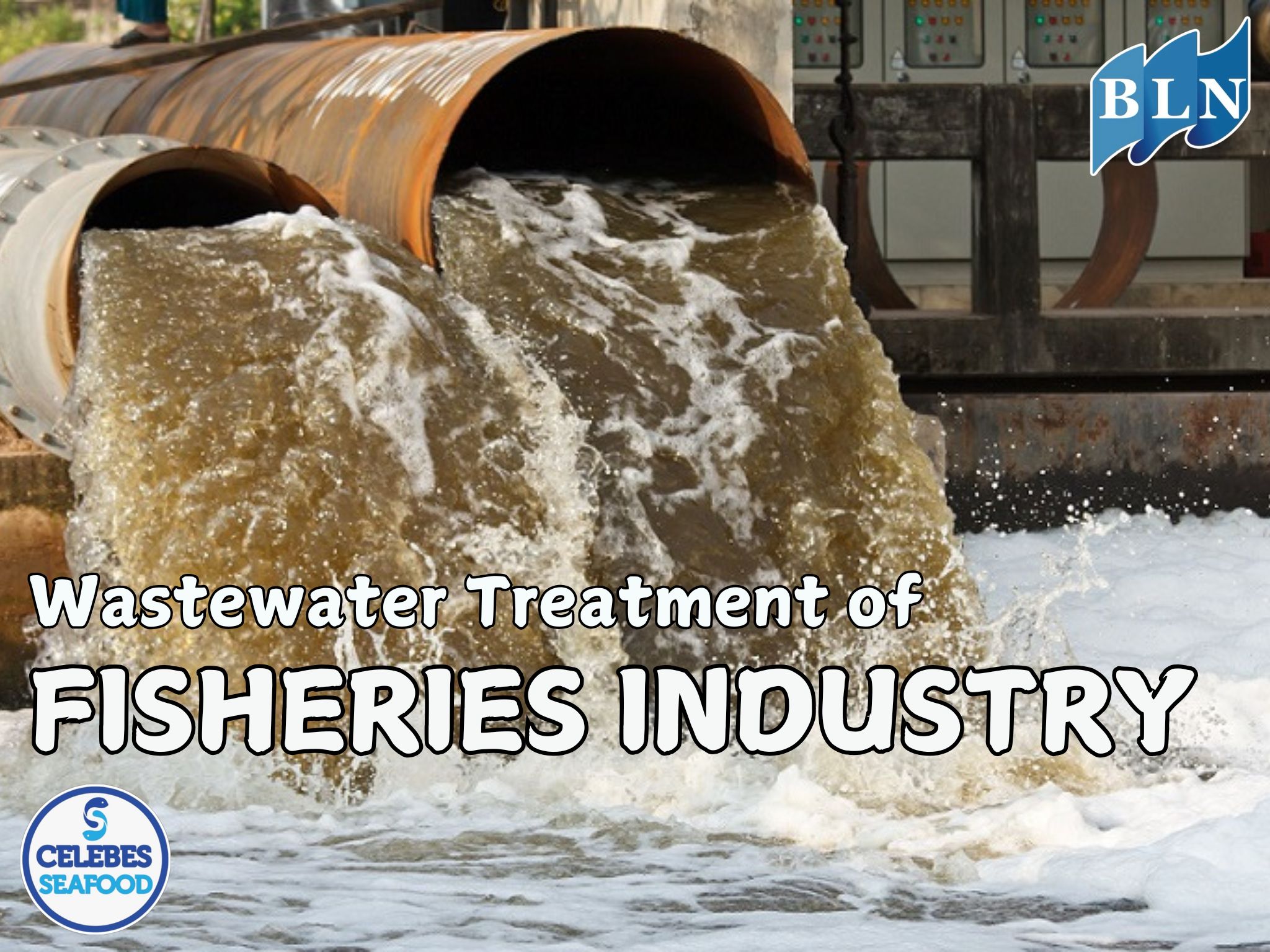 Wastewater Treatment of Fisheries Industry